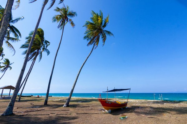 Unforgettable cornwall getaways for seafood festival lovers: discover your ideal holiday rental!