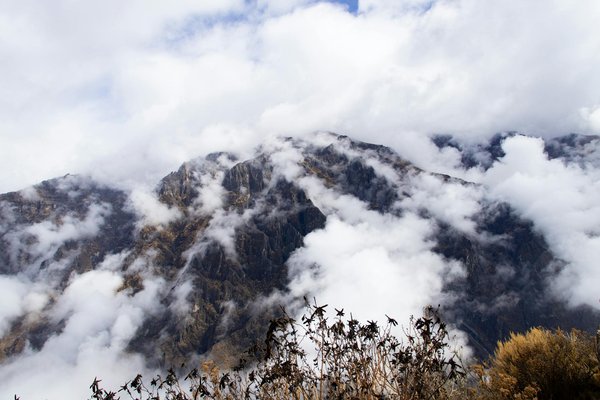 Explore budget-friendly secrets to experience canterbury's vibrant historical heritage