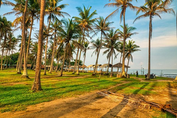 Unveil the best holiday homes in the uk for a truly authentic music festival experience